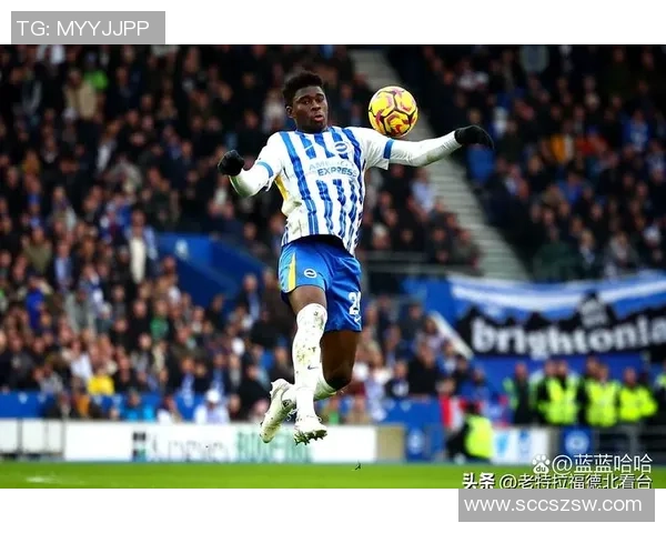 足球星光闪耀推荐盘点 盘点本赛季最具潜力和影响力的顶尖球员